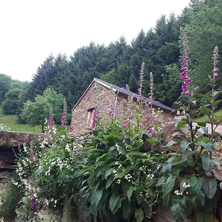 Petite Bergerie En Pierres Tout Confort Salles-Curan Extérieur photo