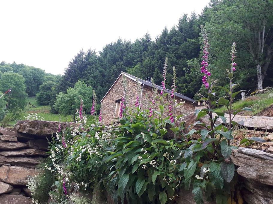 Petite Bergerie En Pierres Confort Ferienhaus