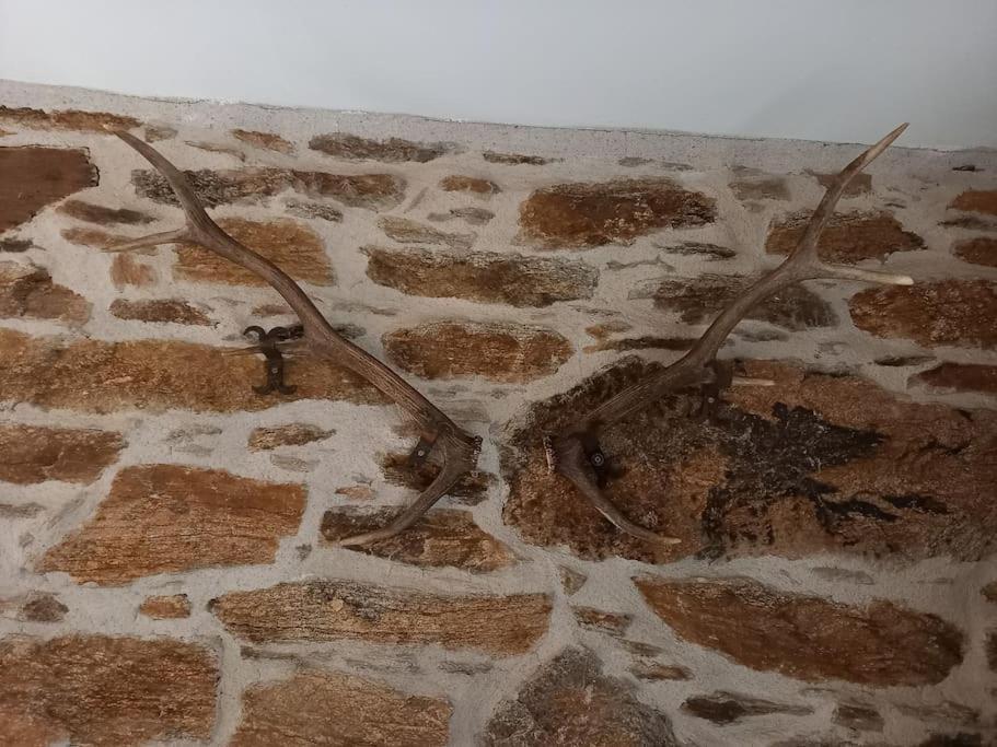 Casa vacanze Petite Bergerie En Pierres Confort *