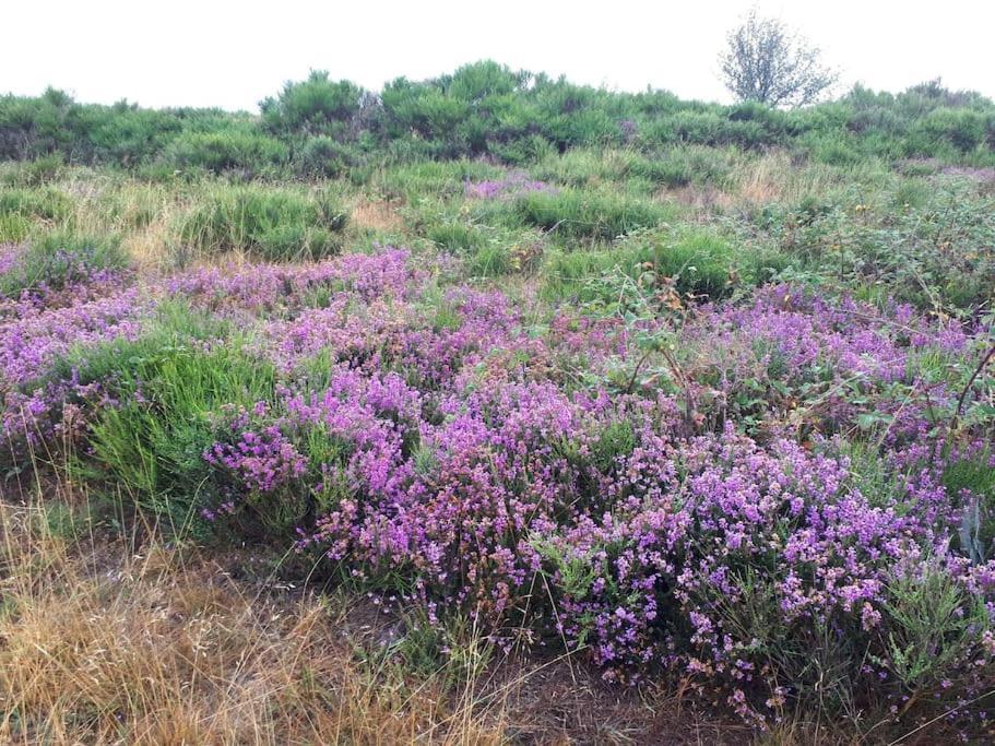 Petite Bergerie En Pierres Confort * Salles-Curan