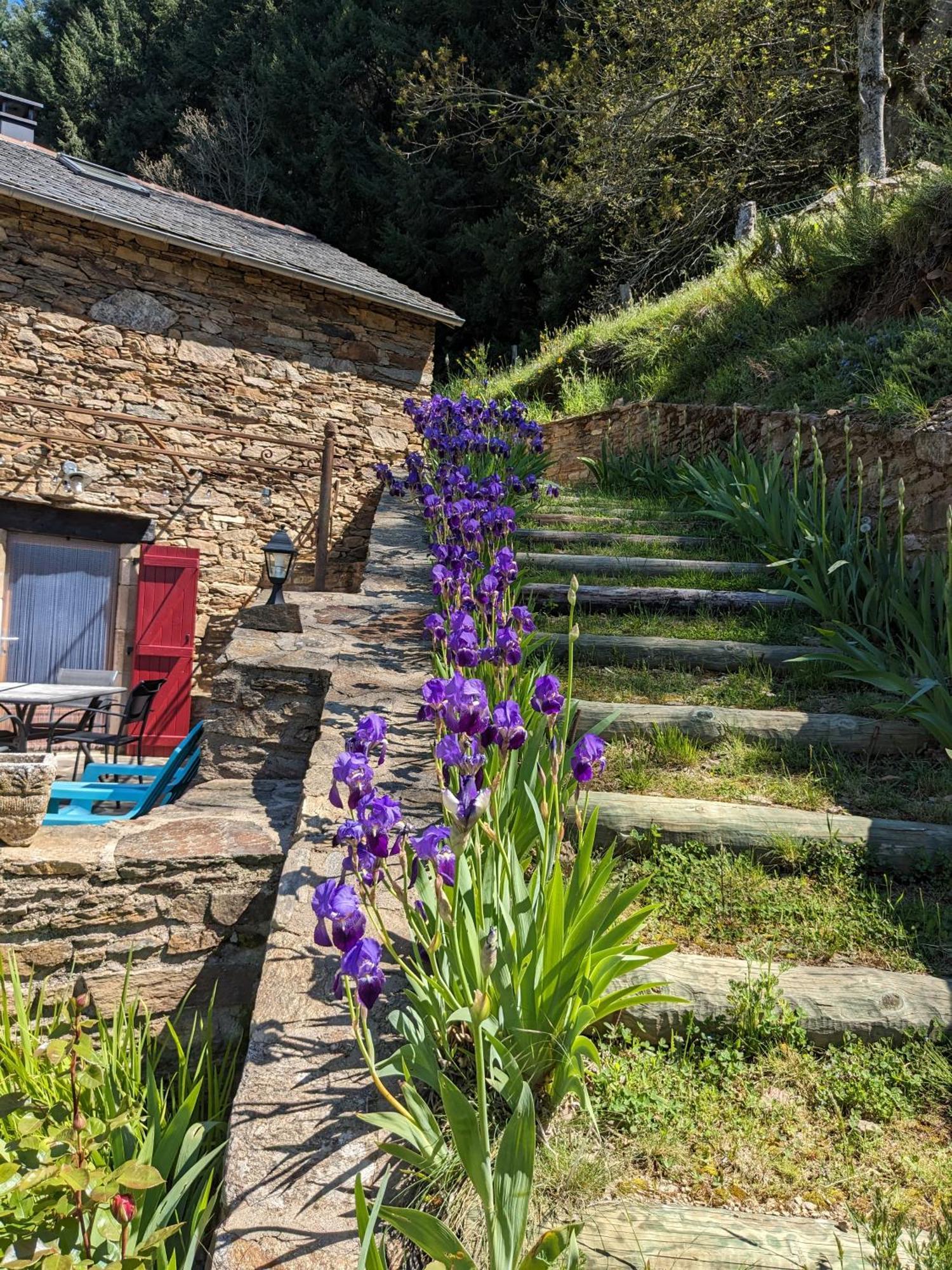 Petite Bergerie En Pierres Confort Hébergement de vacances