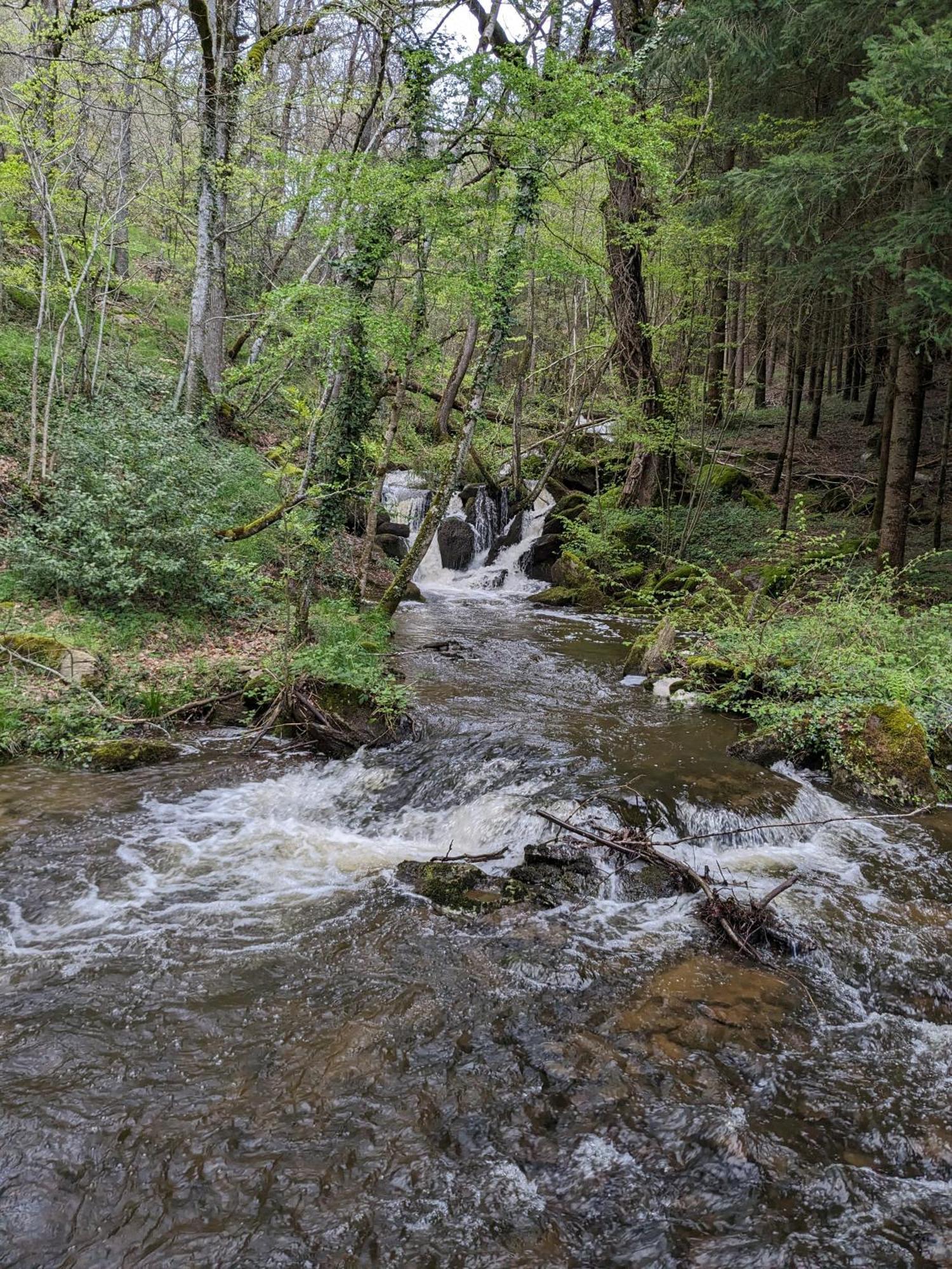 Hébergement de vacances Petite Bergerie En Pierres Confort Salles-Curan